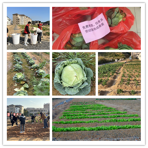 未命名.png 未命名.png