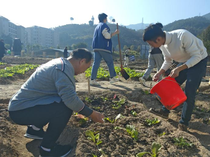 图片 5.png 图片 5.png