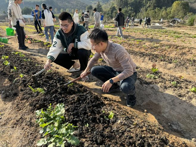 图片 4.png 图片 4.png