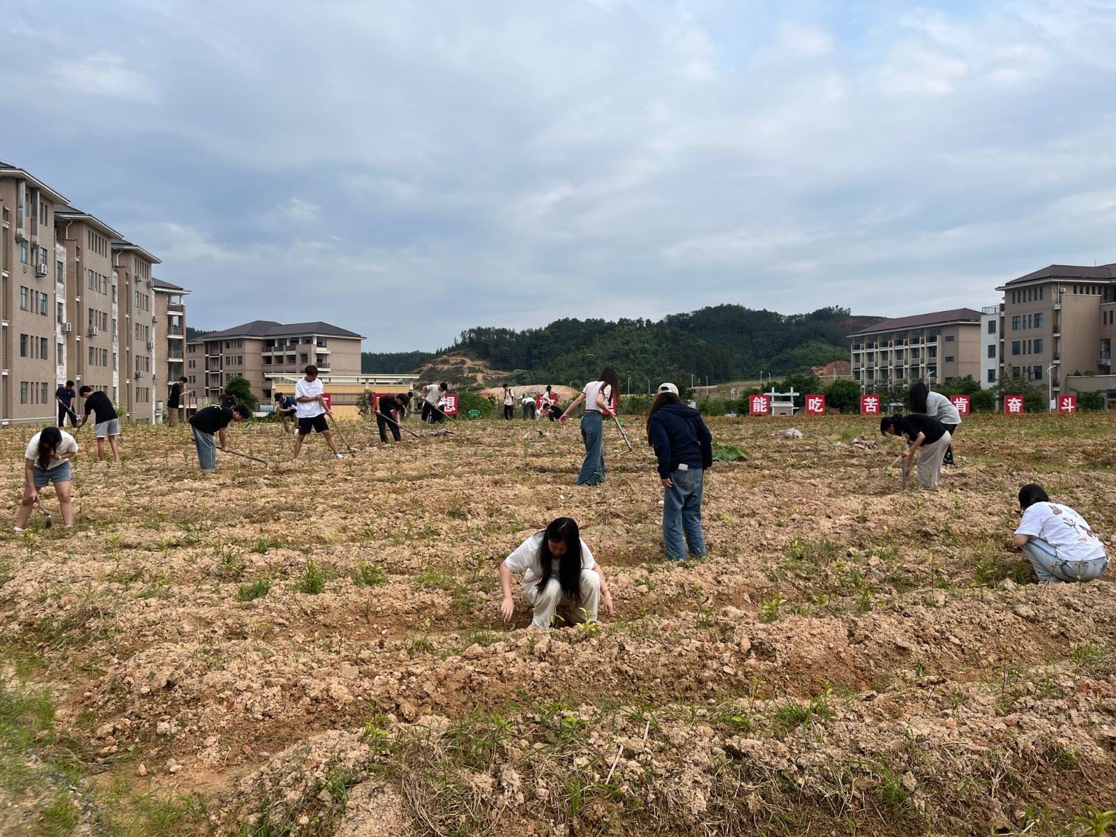 169bb01a3a2036ab648d026cccc6f02.jpg 169bb01a3a2036ab648d026cccc6f02.jpg